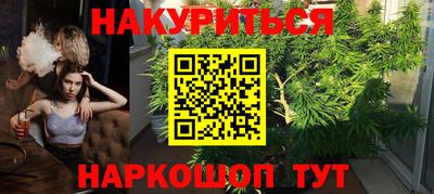 сатива Камышлов