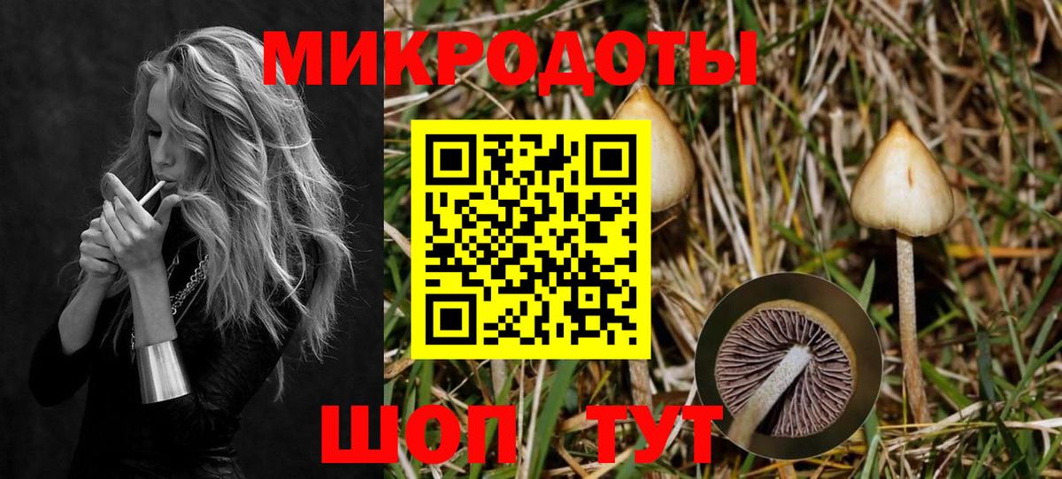 Гашиш Лесной