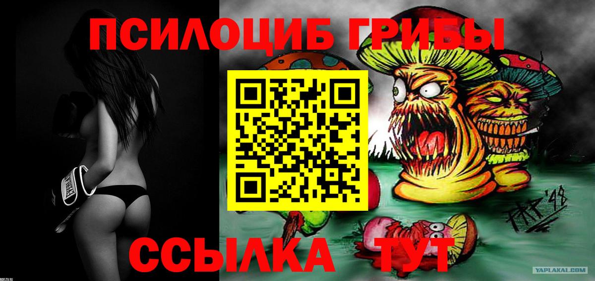 Псилоцибиновые грибы ЛСД  Псилоцибиновые грибы Psilocybe  Лесной  Вход с VPN 